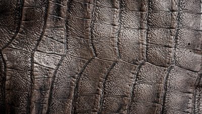 Leather