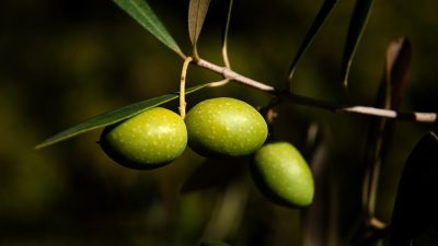 Olives